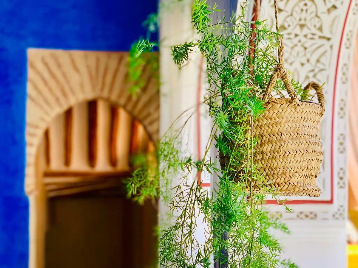 Riad 11 Zitoune Marrakesh